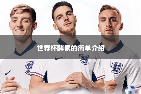 世界杯酵素的简单介绍