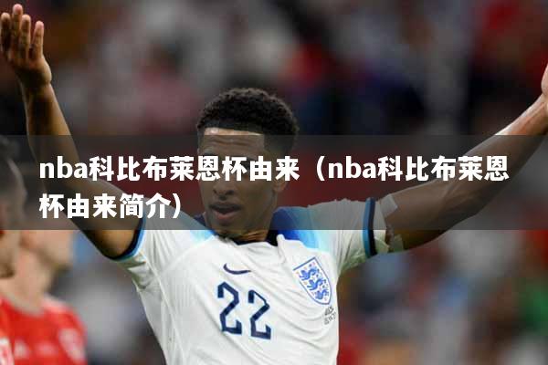 nba科比布莱恩杯由来（nba科比布莱恩杯由来简介）