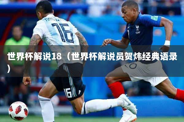 世界杯解说18（世界杯解说员贺炜经典语录）