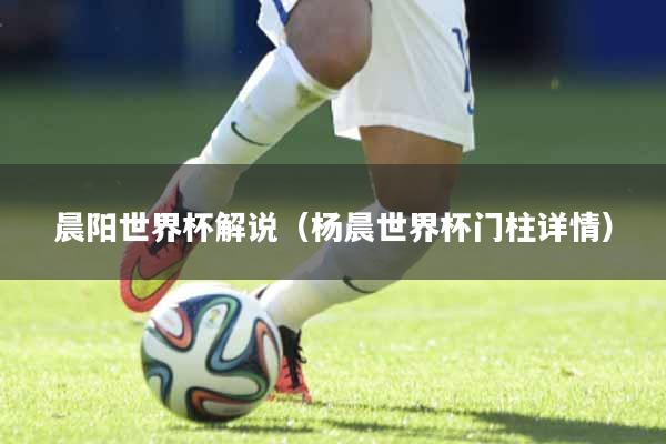 晨阳世界杯解说（杨晨世界杯门柱详情）