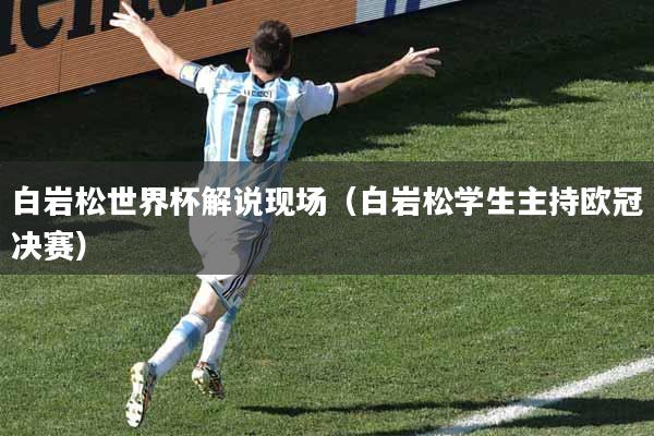 白岩松世界杯解说现场（白岩松学生主持欧冠决赛）