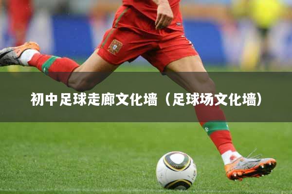 初中足球走廊文化墙（足球场文化墙）
