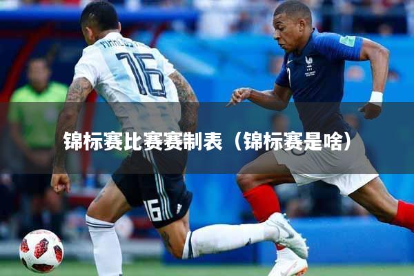 锦标赛比赛赛制表（锦标赛是啥）