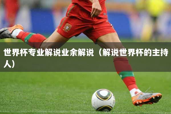 世界杯专业解说业余解说（解说世界杯的主持人）