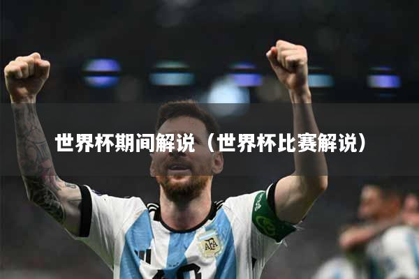 世界杯期间解说（世界杯比赛解说）