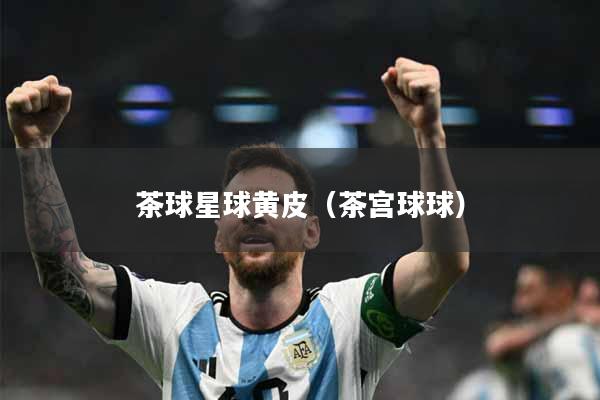茶球星球黄皮(茶宫球球)