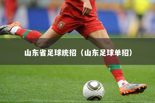 山东省足球统招（山东足球单招）