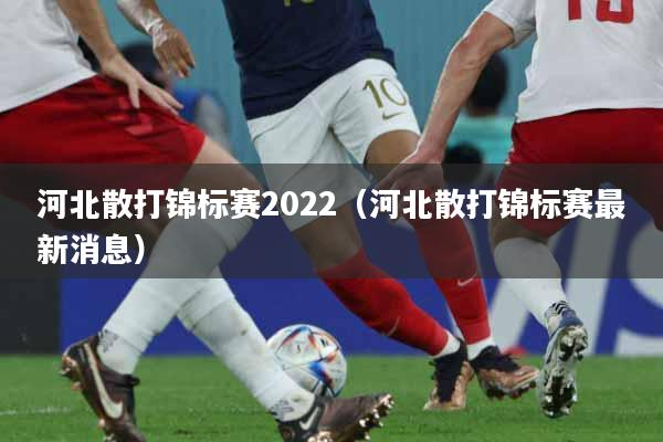 河北散打锦标赛2022(河北散打锦标赛最新消息)
